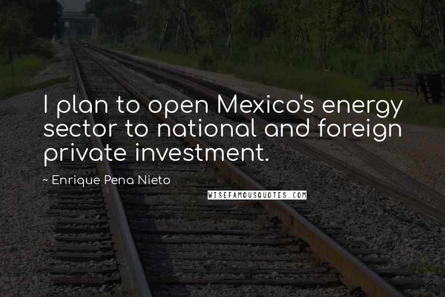 Enrique Pena Nieto Quotes: I plan to open Mexico's energy sector to national and foreign private investment.