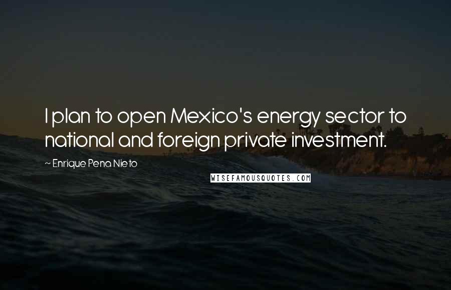 Enrique Pena Nieto Quotes: I plan to open Mexico's energy sector to national and foreign private investment.