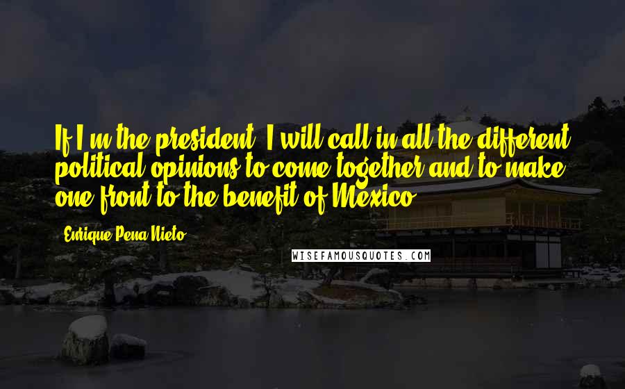 Enrique Pena Nieto Quotes: If I'm the president, I will call in all the different political opinions to come together and to make one front to the benefit of Mexico.