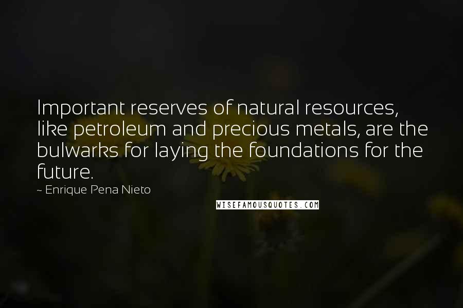 Enrique Pena Nieto Quotes: Important reserves of natural resources, like petroleum and precious metals, are the bulwarks for laying the foundations for the future.