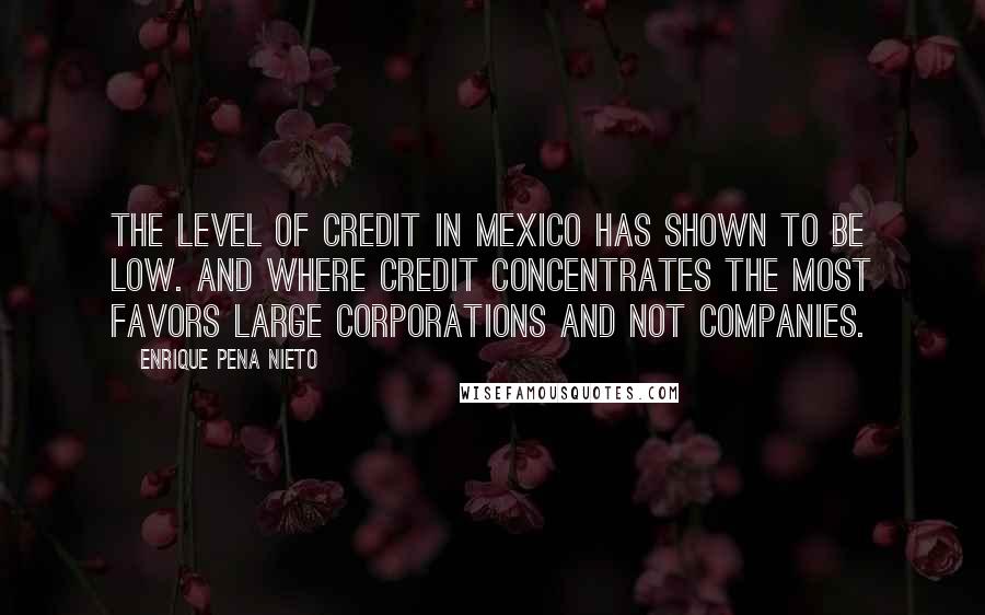 Enrique Pena Nieto Quotes: The level of credit in Mexico has shown to be low. And where credit concentrates the most favors large corporations and not companies.