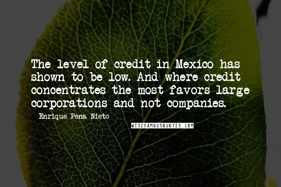 Enrique Pena Nieto Quotes: The level of credit in Mexico has shown to be low. And where credit concentrates the most favors large corporations and not companies.