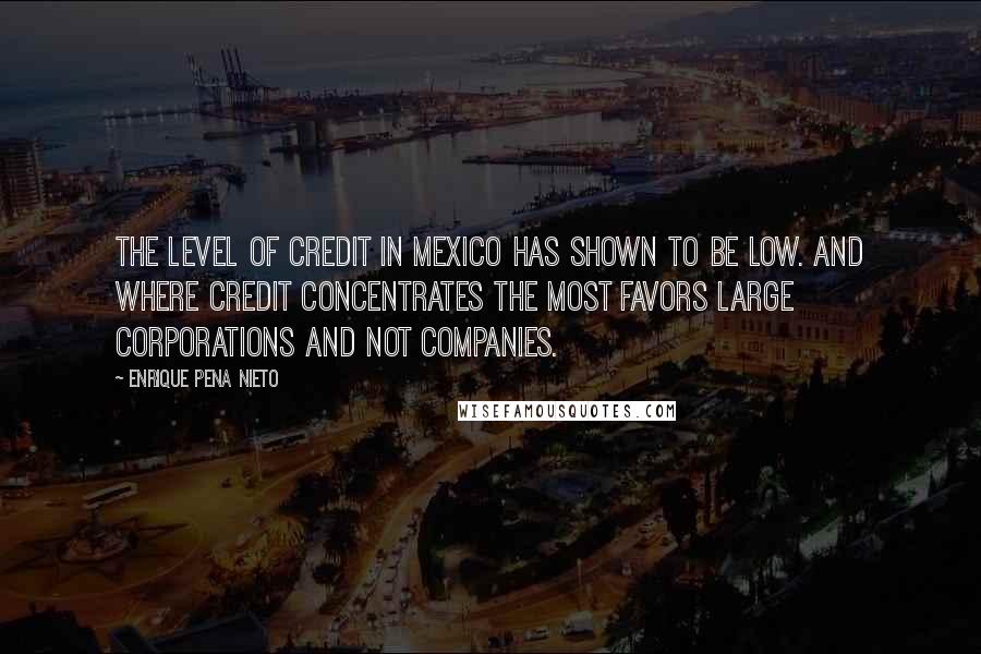 Enrique Pena Nieto Quotes: The level of credit in Mexico has shown to be low. And where credit concentrates the most favors large corporations and not companies.