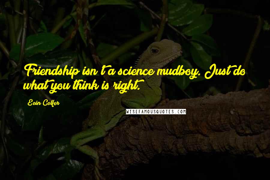 Eoin Colfer Quotes: Friendship isn't a science mudboy. Just do what you think is right.