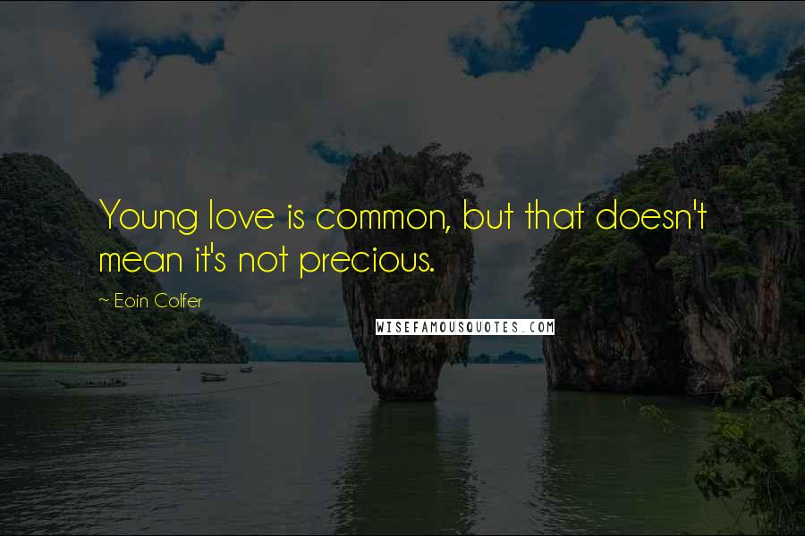 Eoin Colfer Quotes: Young love is common, but that doesn't mean it's not precious.