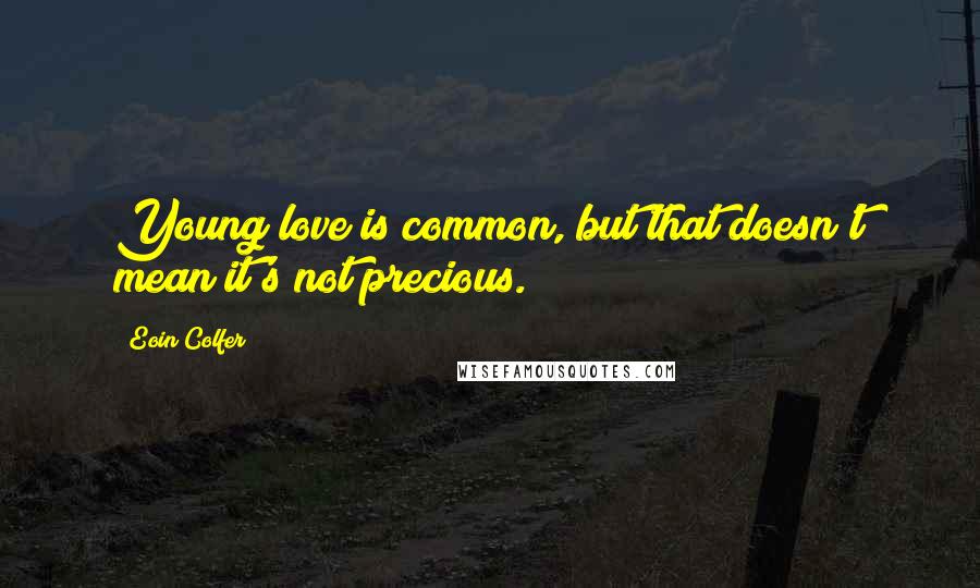 Eoin Colfer Quotes: Young love is common, but that doesn't mean it's not precious.