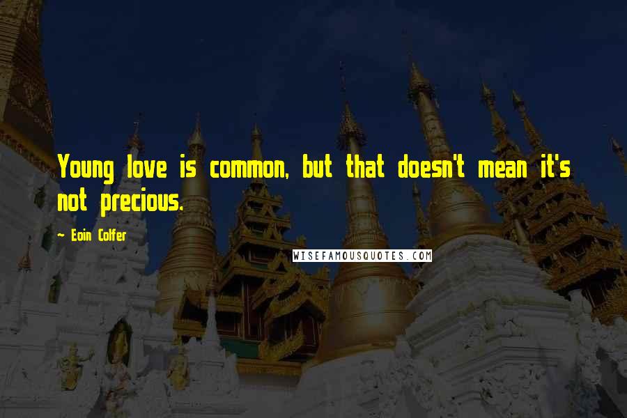 Eoin Colfer Quotes: Young love is common, but that doesn't mean it's not precious.