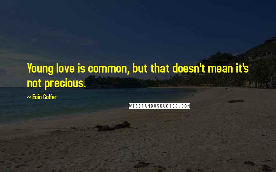 Eoin Colfer Quotes: Young love is common, but that doesn't mean it's not precious.