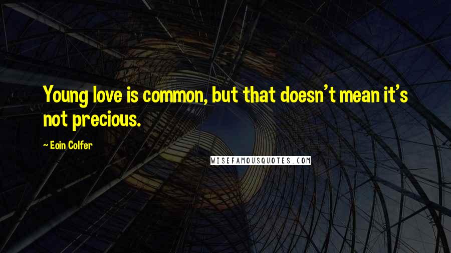 Eoin Colfer Quotes: Young love is common, but that doesn't mean it's not precious.