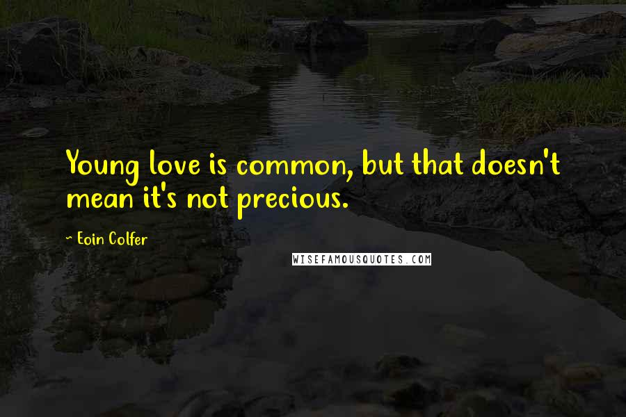 Eoin Colfer Quotes: Young love is common, but that doesn't mean it's not precious.