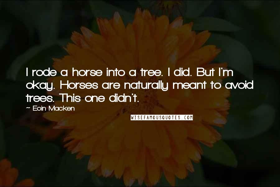 Eoin Macken Quotes: I rode a horse into a tree. I did. But I'm okay. Horses are naturally meant to avoid trees. This one didn't.