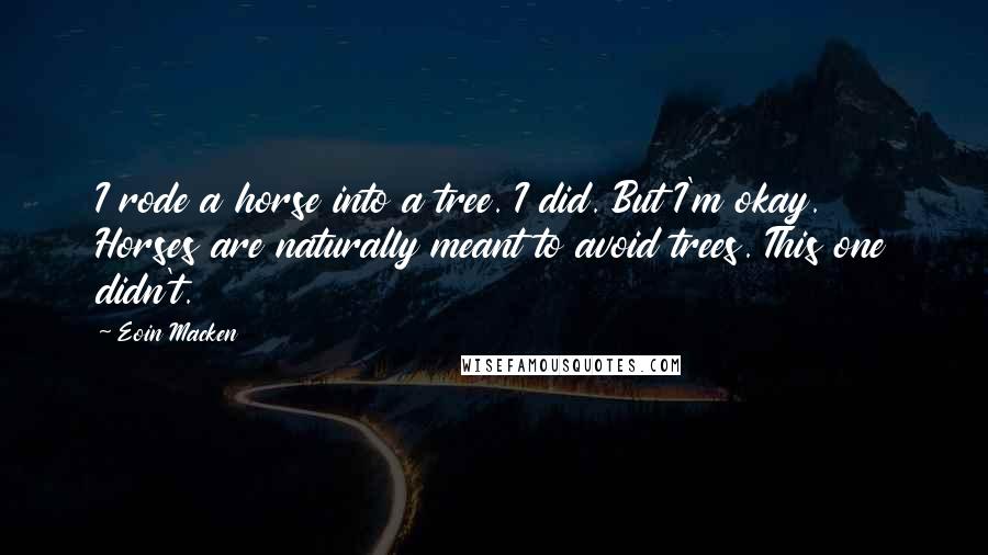 Eoin Macken Quotes: I rode a horse into a tree. I did. But I'm okay. Horses are naturally meant to avoid trees. This one didn't.