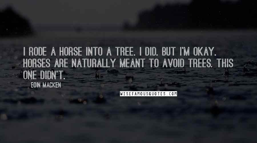 Eoin Macken Quotes: I rode a horse into a tree. I did. But I'm okay. Horses are naturally meant to avoid trees. This one didn't.