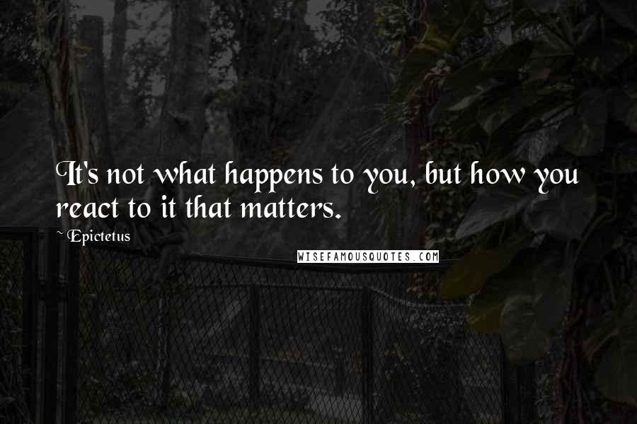 Epictetus Quotes: It's not what happens to you, but how you react to it that matters.