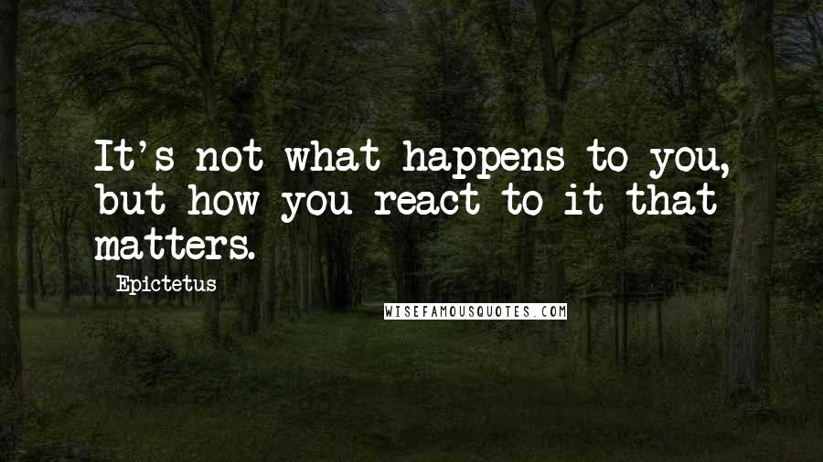 Epictetus Quotes: It's not what happens to you, but how you react to it that matters.