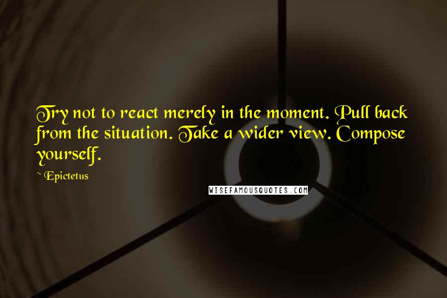 Epictetus Quotes: Try not to react merely in the moment. Pull back from the situation. Take a wider view. Compose yourself.