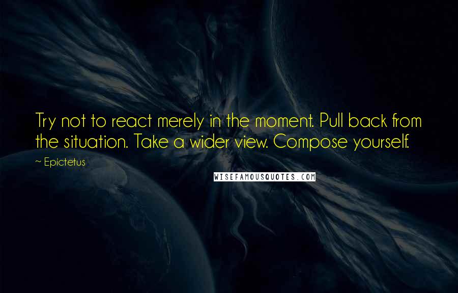 Epictetus Quotes: Try not to react merely in the moment. Pull back from the situation. Take a wider view. Compose yourself.