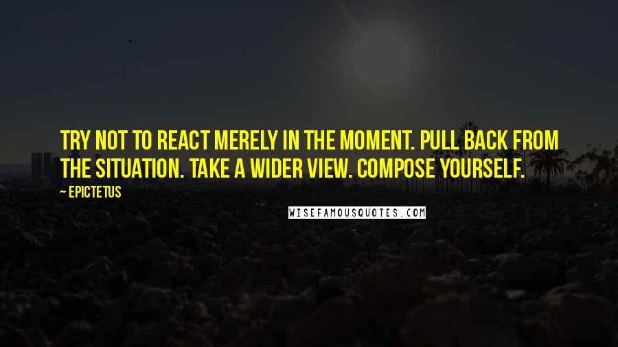 Epictetus Quotes: Try not to react merely in the moment. Pull back from the situation. Take a wider view. Compose yourself.
