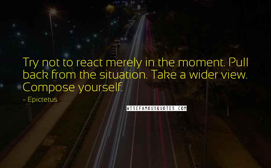 Epictetus Quotes: Try not to react merely in the moment. Pull back from the situation. Take a wider view. Compose yourself.