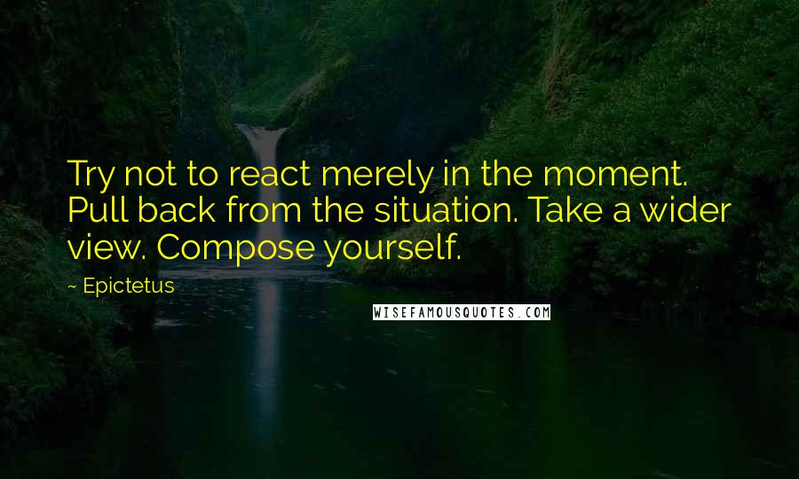 Epictetus Quotes: Try not to react merely in the moment. Pull back from the situation. Take a wider view. Compose yourself.