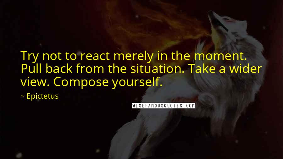 Epictetus Quotes: Try not to react merely in the moment. Pull back from the situation. Take a wider view. Compose yourself.