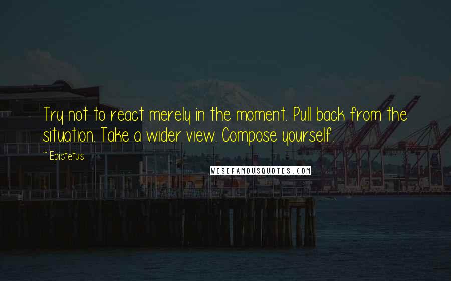 Epictetus Quotes: Try not to react merely in the moment. Pull back from the situation. Take a wider view. Compose yourself.