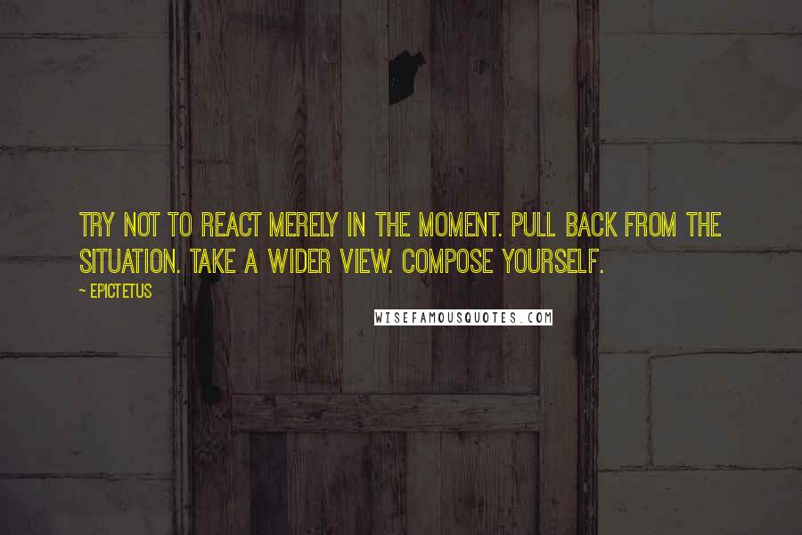 Epictetus Quotes: Try not to react merely in the moment. Pull back from the situation. Take a wider view. Compose yourself.