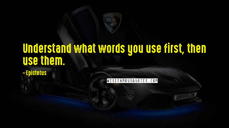 Epictetus Quotes: Understand what words you use first, then use them.