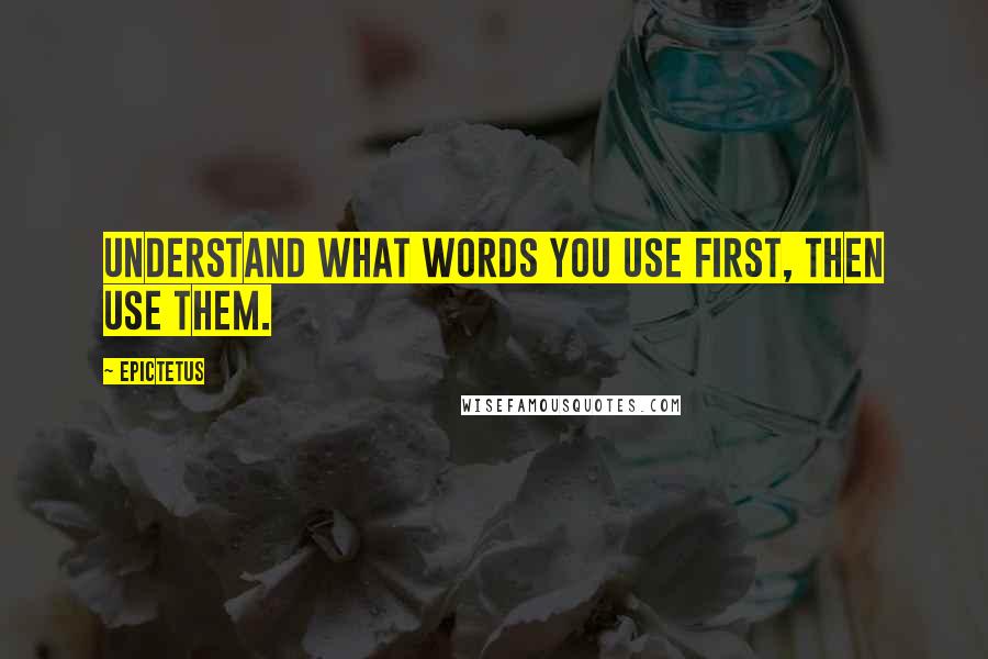 Epictetus Quotes: Understand what words you use first, then use them.