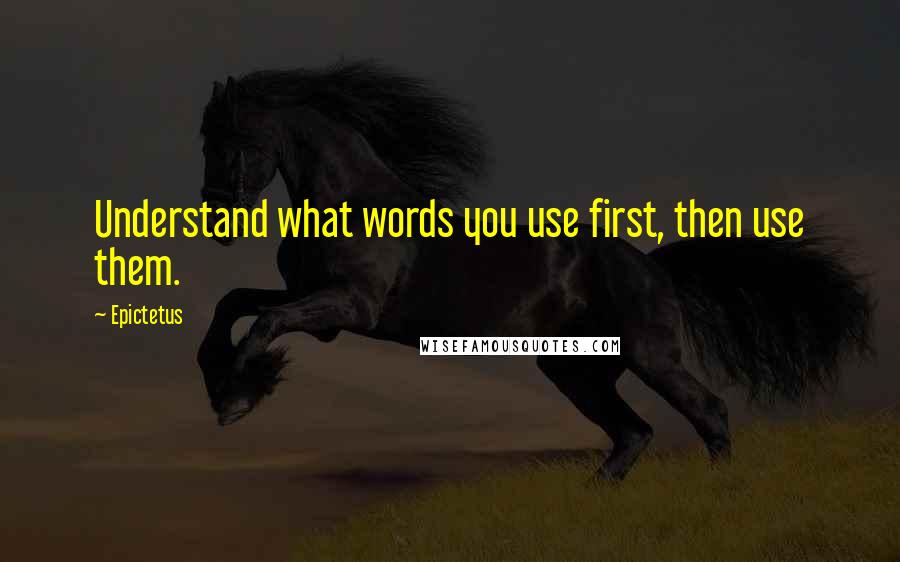 Epictetus Quotes: Understand what words you use first, then use them.