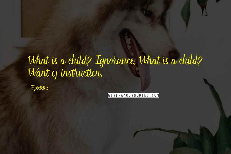 Epictetus Quotes: What is a child? Ignorance. What is a child? Want of instruction.