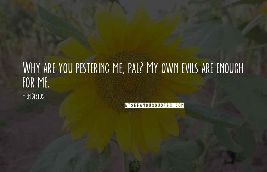 Epictetus Quotes: Why are you pestering me, pal? My own evils are enough for me.