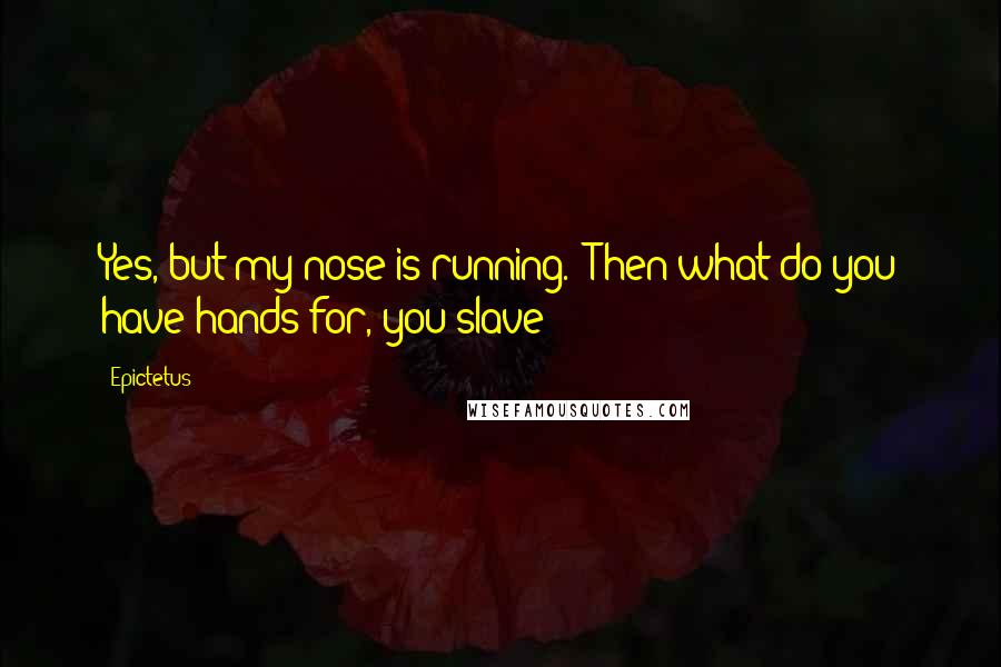 Epictetus Quotes: Yes, but my nose is running.' Then what do you have hands for, you slave?