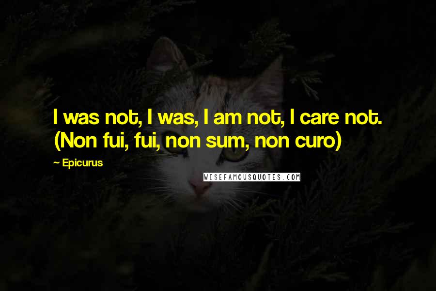 Epicurus Quotes: I was not, I was, I am not, I care not. (Non fui, fui, non sum, non curo)