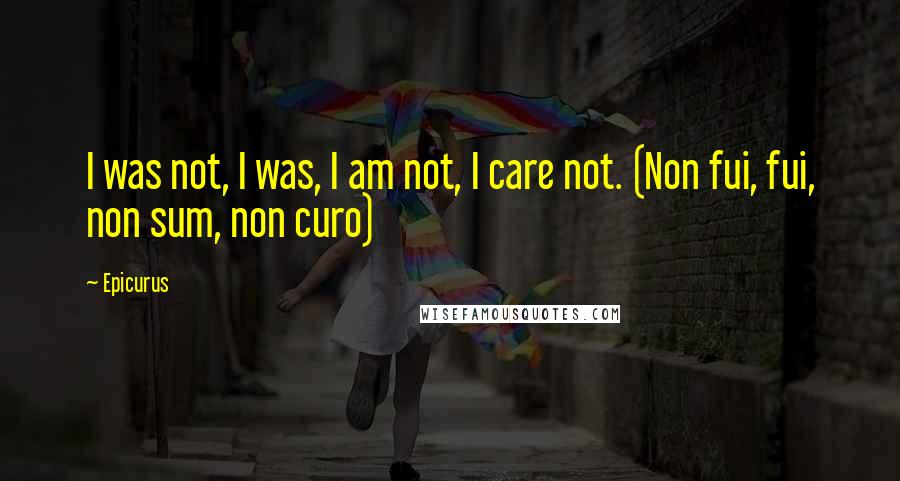 Epicurus Quotes: I was not, I was, I am not, I care not. (Non fui, fui, non sum, non curo)