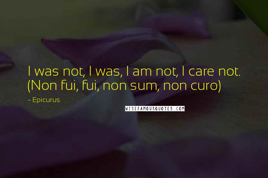 Epicurus Quotes: I was not, I was, I am not, I care not. (Non fui, fui, non sum, non curo)