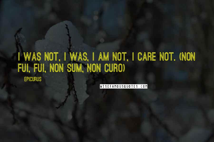 Epicurus Quotes: I was not, I was, I am not, I care not. (Non fui, fui, non sum, non curo)