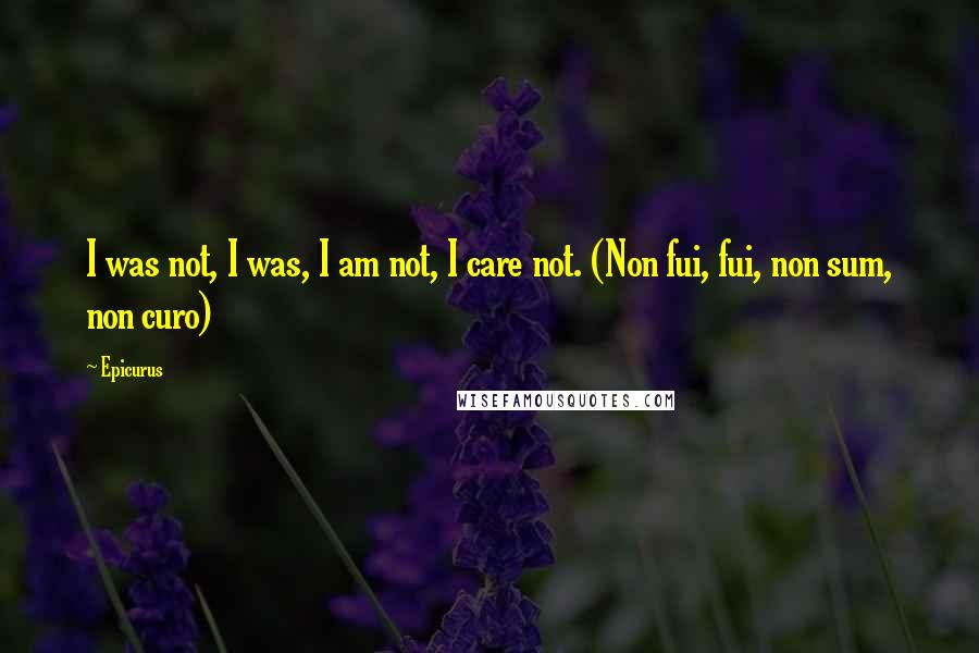 Epicurus Quotes: I was not, I was, I am not, I care not. (Non fui, fui, non sum, non curo)