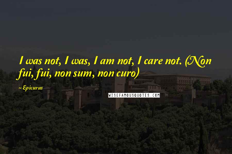 Epicurus Quotes: I was not, I was, I am not, I care not. (Non fui, fui, non sum, non curo)