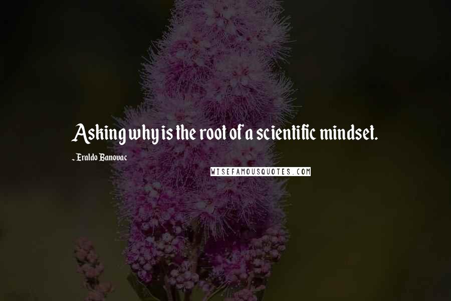 Eraldo Banovac Quotes: Asking why is the root of a scientific mindset.