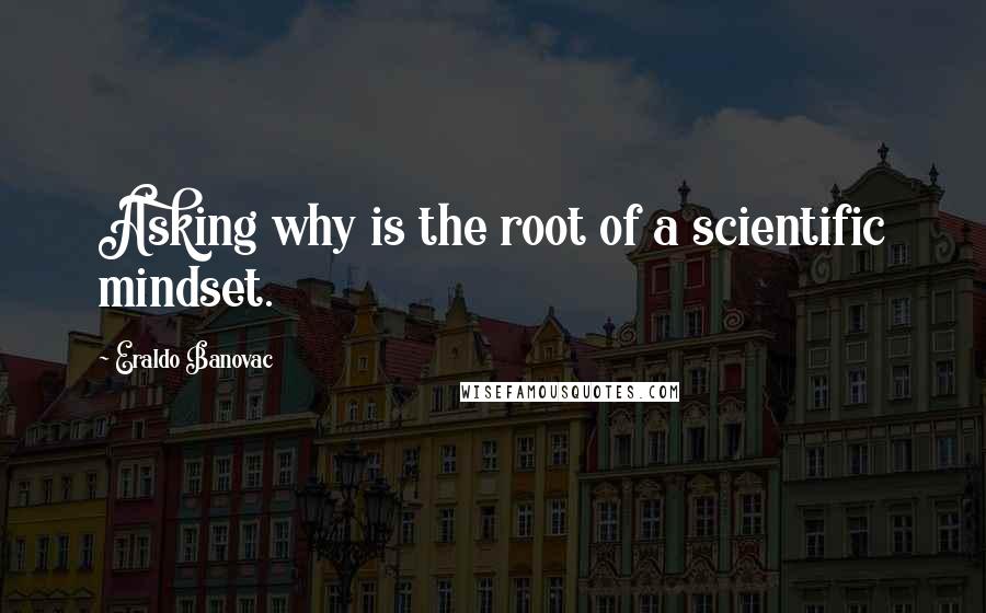 Eraldo Banovac Quotes: Asking why is the root of a scientific mindset.