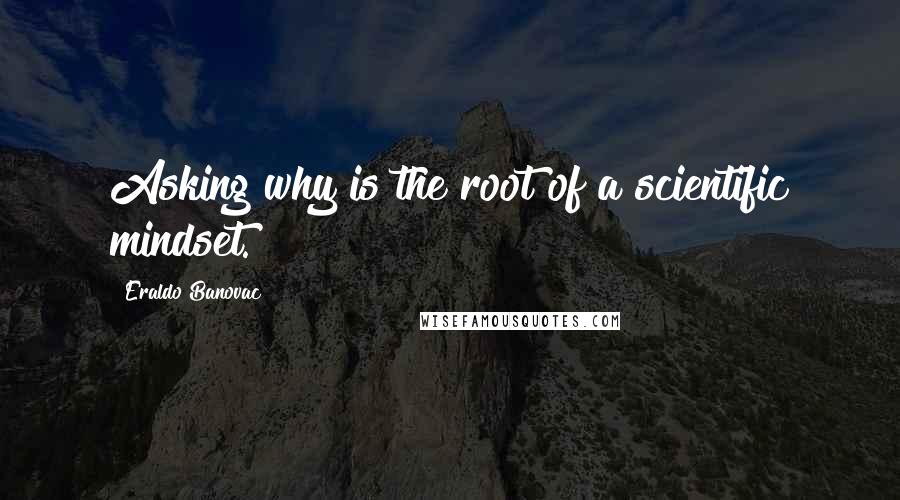 Eraldo Banovac Quotes: Asking why is the root of a scientific mindset.