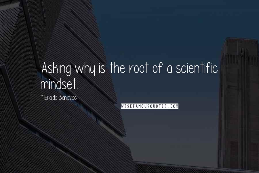 Eraldo Banovac Quotes: Asking why is the root of a scientific mindset.