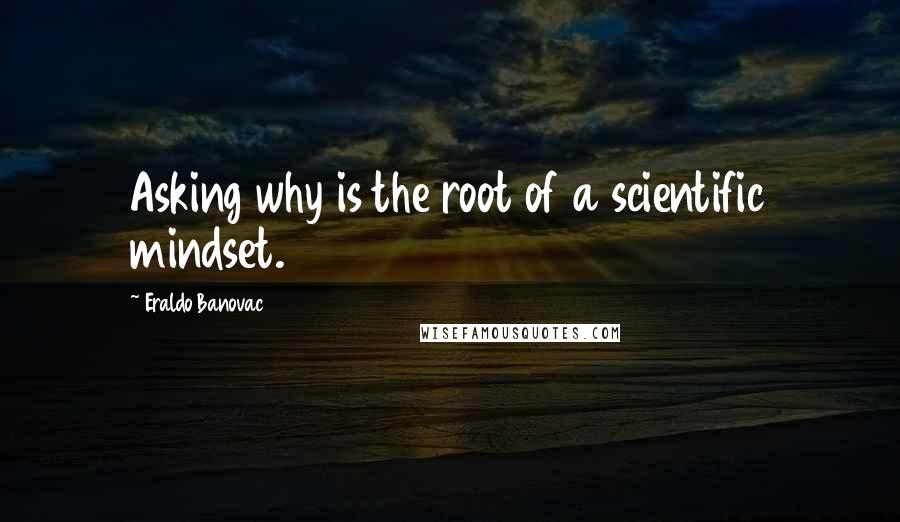 Eraldo Banovac Quotes: Asking why is the root of a scientific mindset.