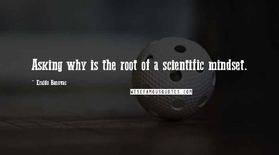 Eraldo Banovac Quotes: Asking why is the root of a scientific mindset.