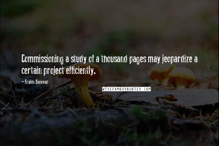 Eraldo Banovac Quotes: Commissioning a study of a thousand pages may jeopardize a certain project efficiently.