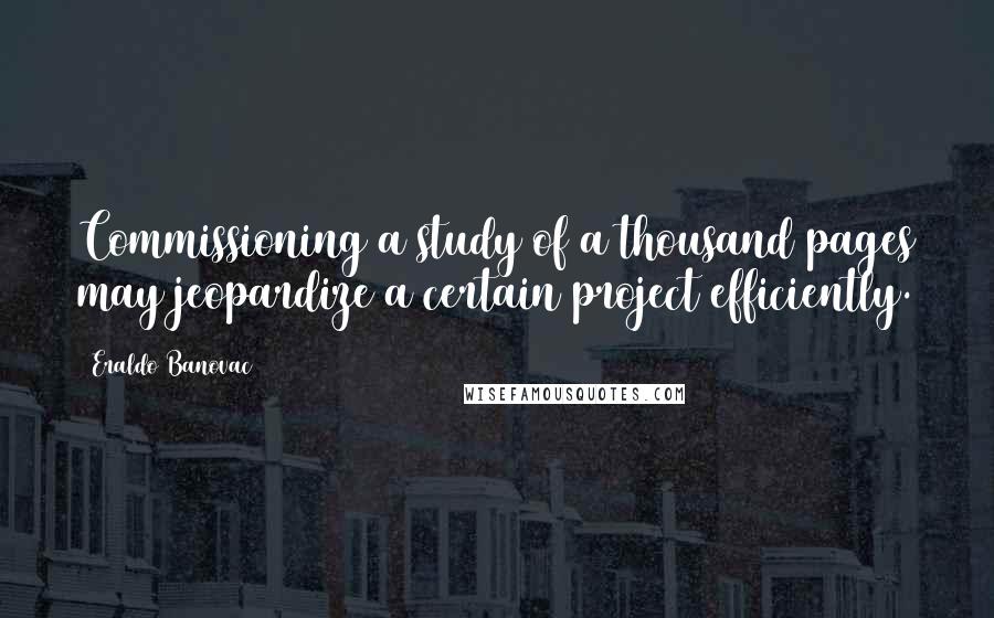 Eraldo Banovac Quotes: Commissioning a study of a thousand pages may jeopardize a certain project efficiently.