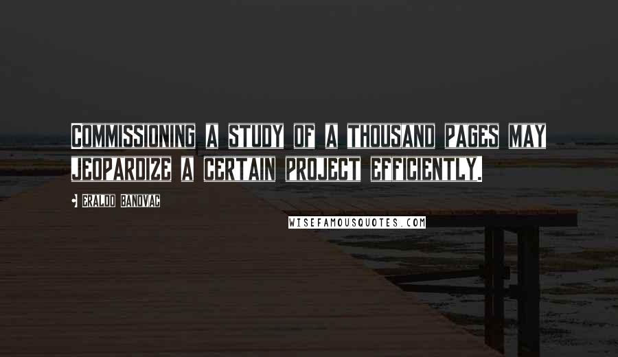 Eraldo Banovac Quotes: Commissioning a study of a thousand pages may jeopardize a certain project efficiently.