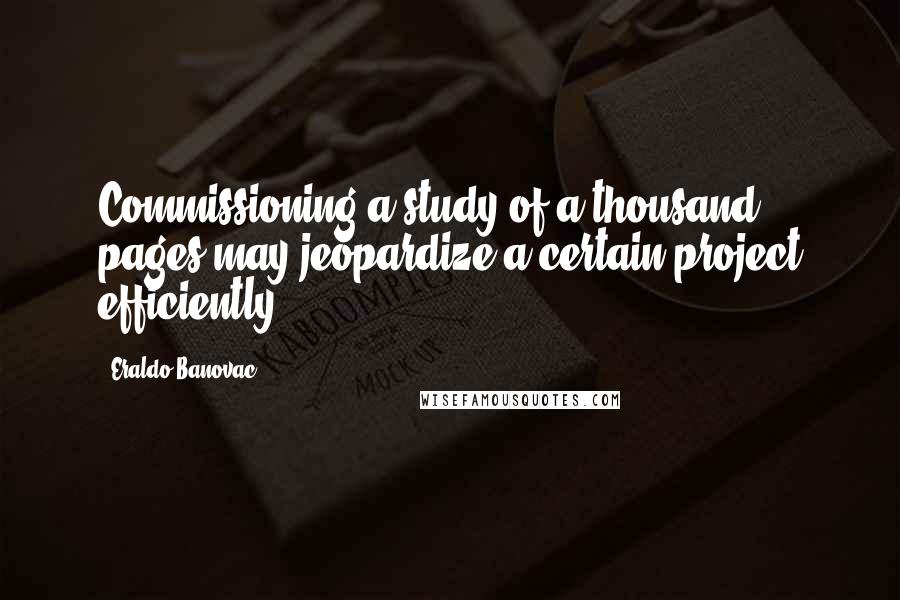 Eraldo Banovac Quotes: Commissioning a study of a thousand pages may jeopardize a certain project efficiently.