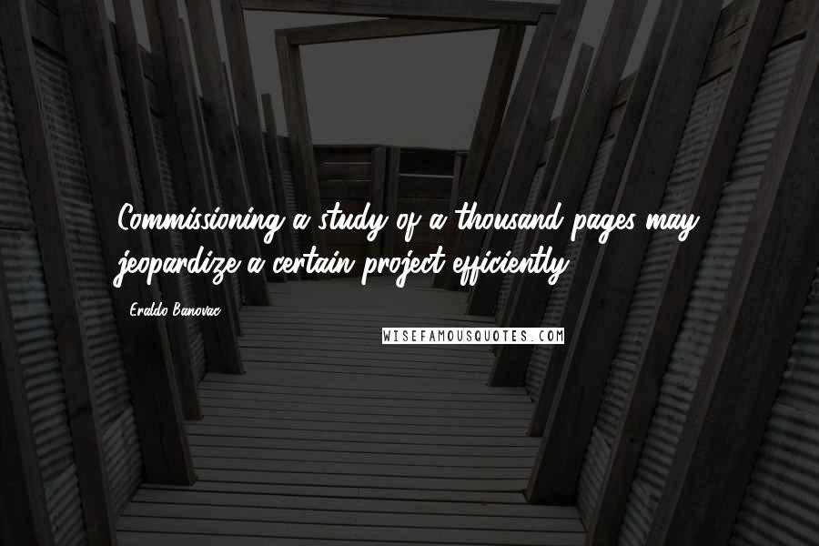 Eraldo Banovac Quotes: Commissioning a study of a thousand pages may jeopardize a certain project efficiently.